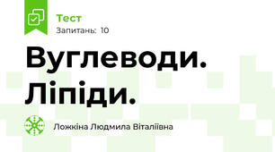 Вуглеводи. Ліпіди.