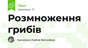 Розмноження грибів