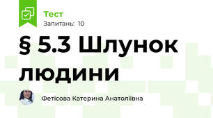 § 5.3 Шлунок людини