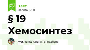 § 19 Хемосинтез