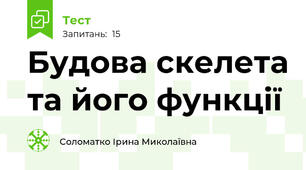 Будова скелета та його функції