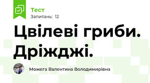 Цвілеві гриби. Дріжджі.
