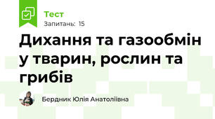 Дихання та газообмін у тварин, рослин та грибів