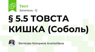 § 5.5 ТОВСТА КИШКА (Соболь)