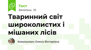 Тваринний світ широколистих і мішаних лісів