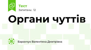Органи чуттів