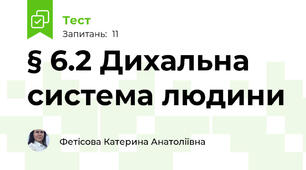 § 6.2 Дихальна система людини