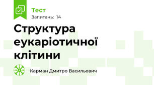 Структура еукаріотичної клітини