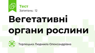 Вегетативні органи рослини