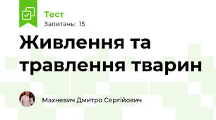 Живлення та травлення тварин