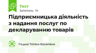 Підприємницька діяльність з надання послуг по декларуванню товарів