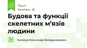 Будова та функції скелетних м’язів людини
