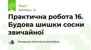 Практична робота 16. Будова шишки сосни звичайної