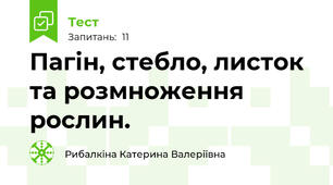 Пагін, стебло, листок та розмноження рослин.
