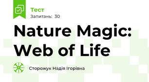 Nature Magic: Web of Life