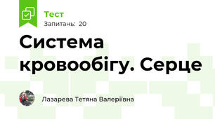 Система кровообігу. Серце