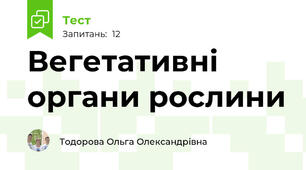  Вегетативні органи рослини