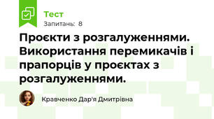 Проєкти з розгалуженнями. Використання перемикачів і прапорців у проєктах з розгалуженнями.