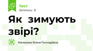  Як  зимують звірі?