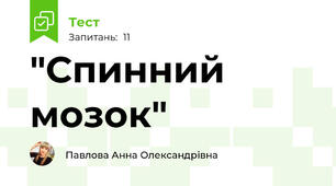 "Спинний мозок"
