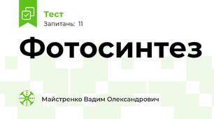 Фотосинтез