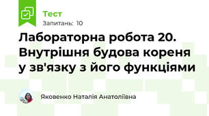 Лабораторна робота 20. Внутрішня будова кореня у зв'язку з його функціями