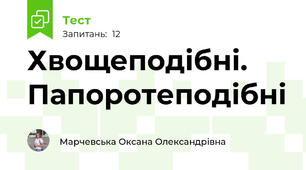 Хвощеподібні. Папоротеподібні