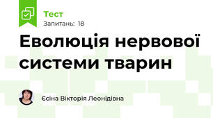  Еволюція нервової системи тварин