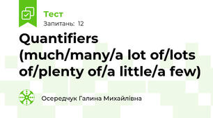 Quantifiers (much/many/a lot of/lots of/plenty of/a little/a few)