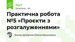 Практична робота №5 «Проєкти з розгалуженнями»