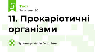 11. Прокаріотичні організми