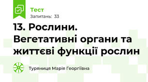 13. Рослини. Вегетативні органи та життєві функції рослин