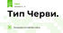 Тип Черви.