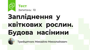 Запліднення  у  квіткових  рослин. Будова  насінини