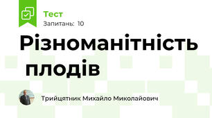 Різноманітність  плодів 