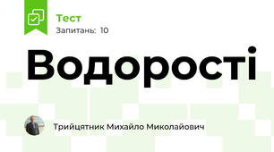 Водорості