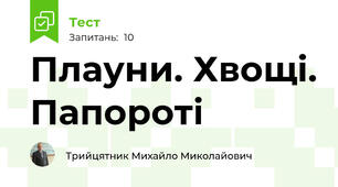  Плауни. Хвощі. Папороті