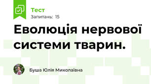 Еволюція нервової системи тварин.