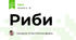 Риби