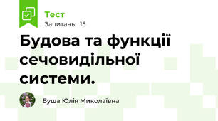 Будова та функції сечовидільної системи.