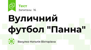 Вуличний футбол "Панна"