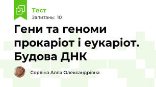 Гени та геноми прокаріот і еукаріот. Будова ДНК