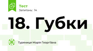 18. Губки