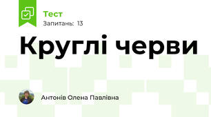Круглі черви