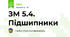 ЗМ 5.4. Підшипники