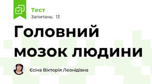 Головний мозок людини