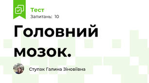 Головний мозок. 