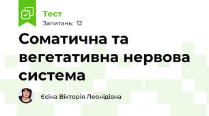 Соматична та вегетативна нервова система