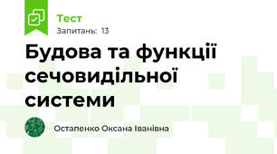 Будова та функції сечовидільної системи
