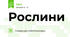 Рослини